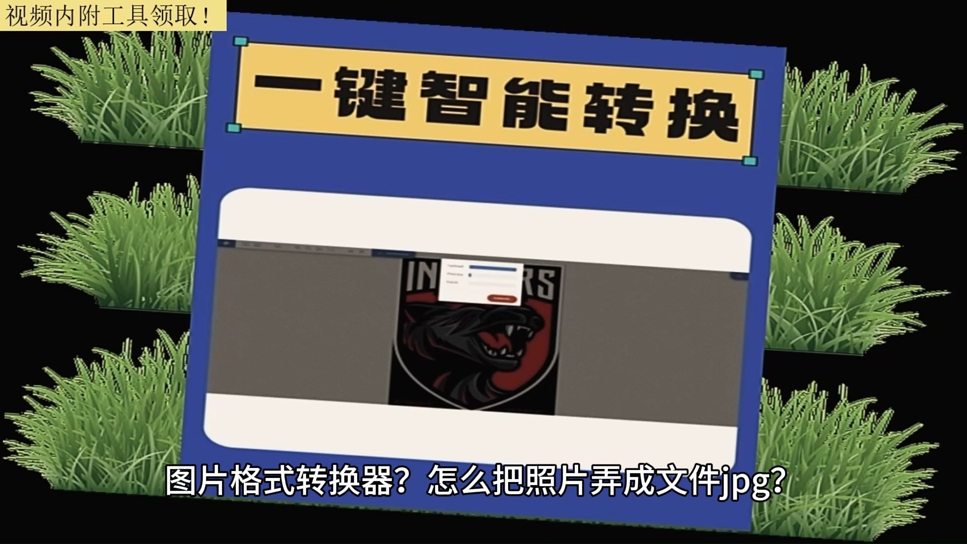 heic和jpg区别 heic和jpg清晰度哪个好 